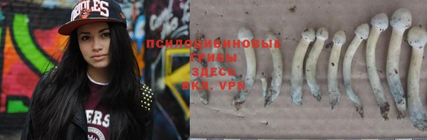 скорость Саяногорск
