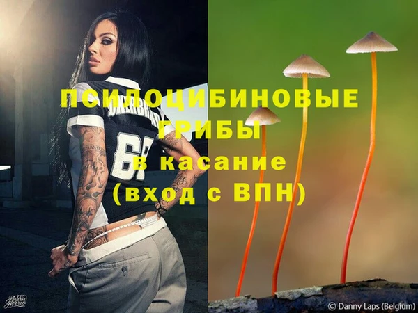 СК Сафоново