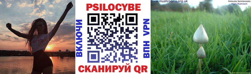 купить закладку  Покров  Галлюциногенные грибы прущие грибы 